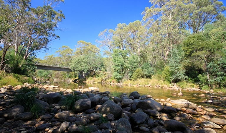 Coffs Harbour Camp Lagoon Villa