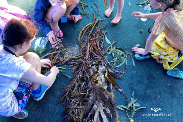Children playing with seaweed. What counts as learning. Homeschool advice for Australian homeschoolers from Simply Homeschool. Australian homeschool nature studies unit studies