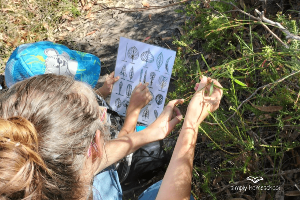 What counts as learning? Homeschool advice. Homeschool nature study curriculum. Simply Homeschool Australian homeschool curriculum provider of high quality homeschool unit studies for all ages