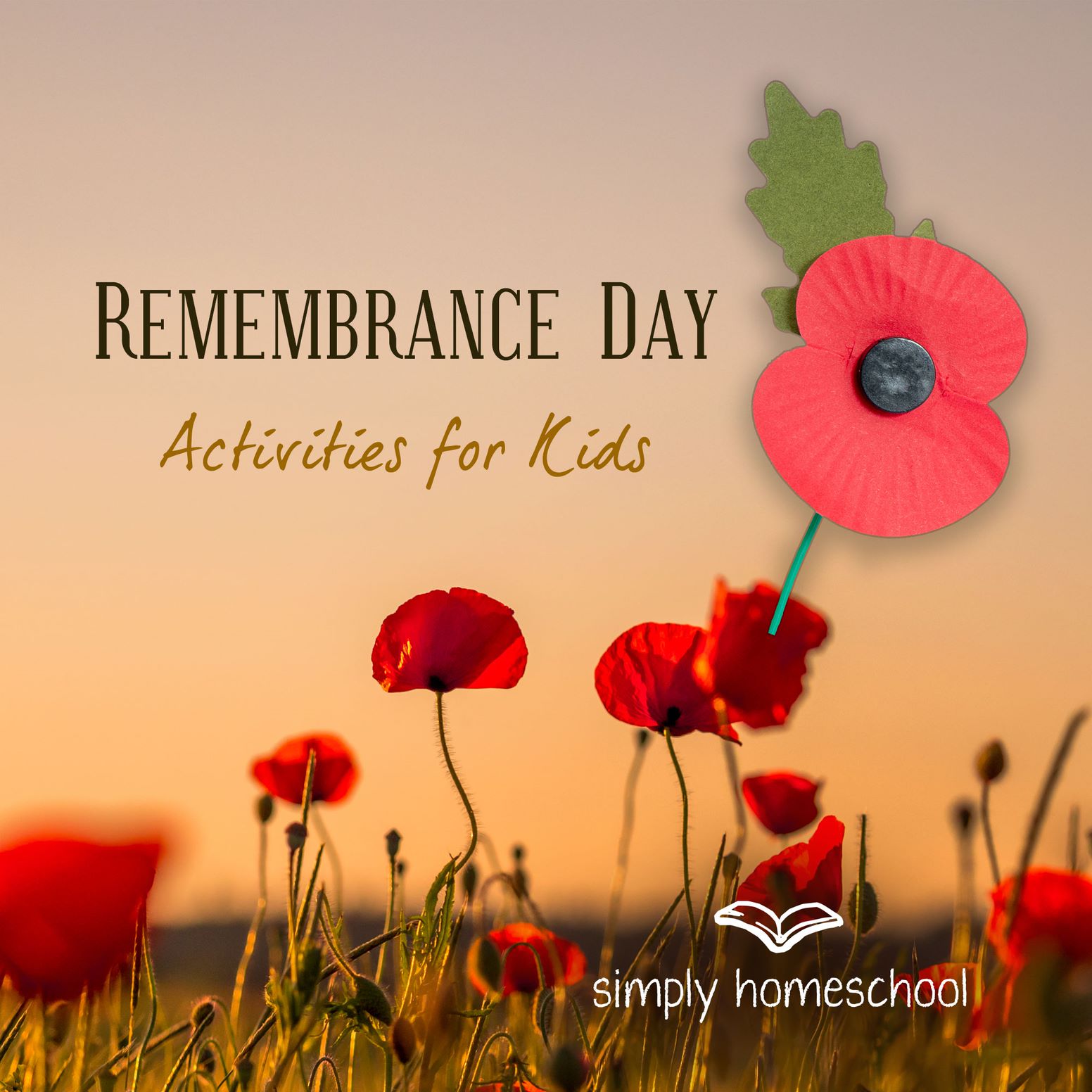 Remembrance Day Activities for Kids