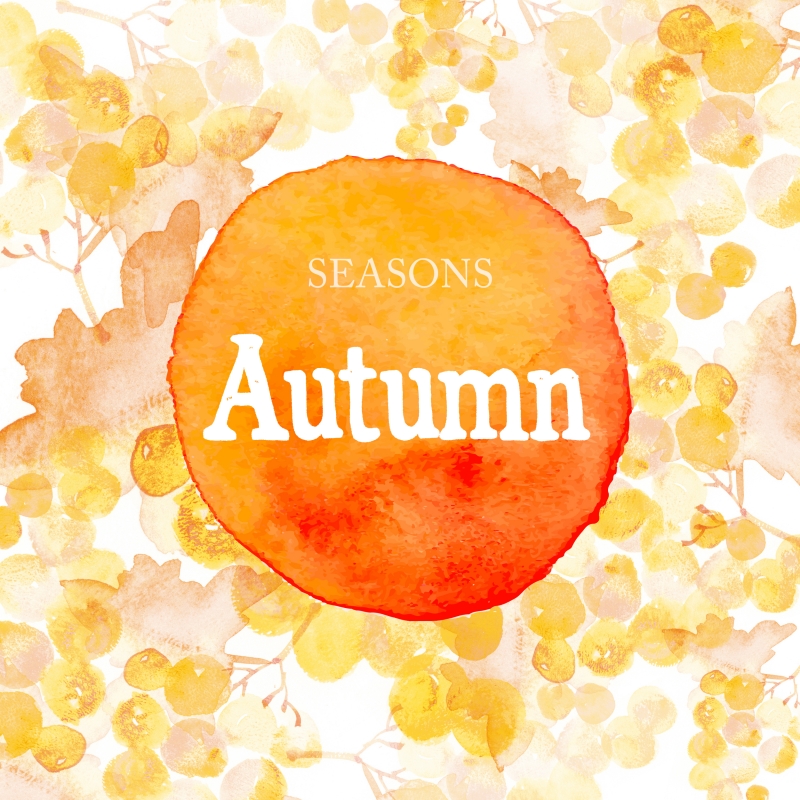 Seasons - Autumn
