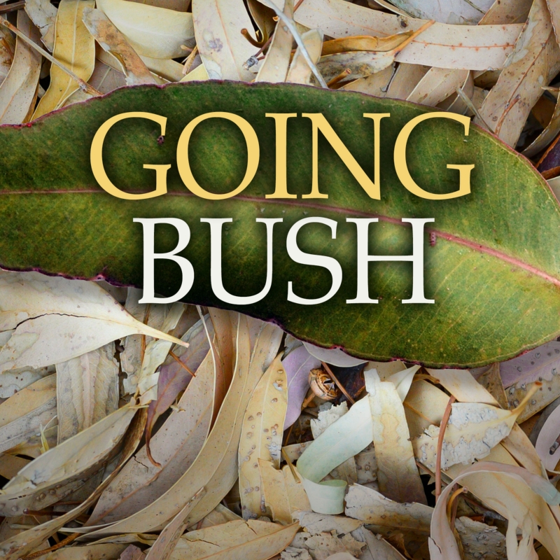 Going Bush