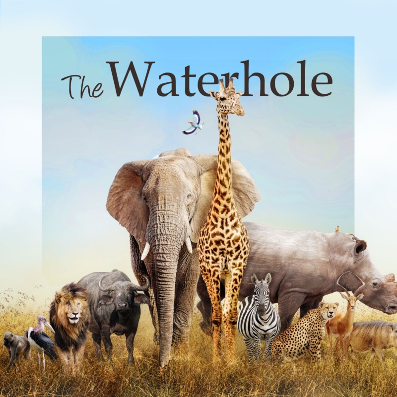 The Waterhole (Updated)