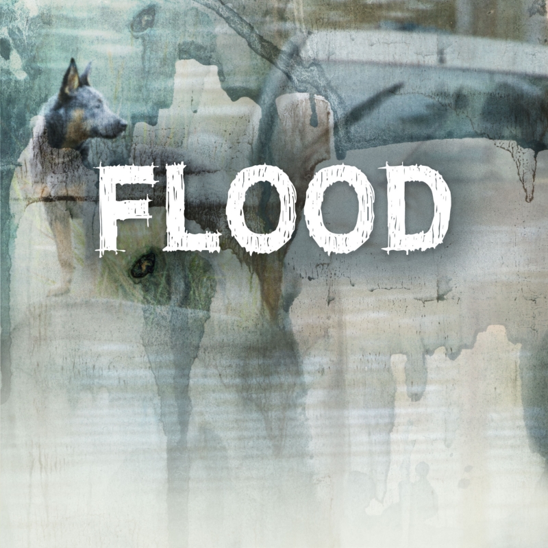 Flood (New Release)