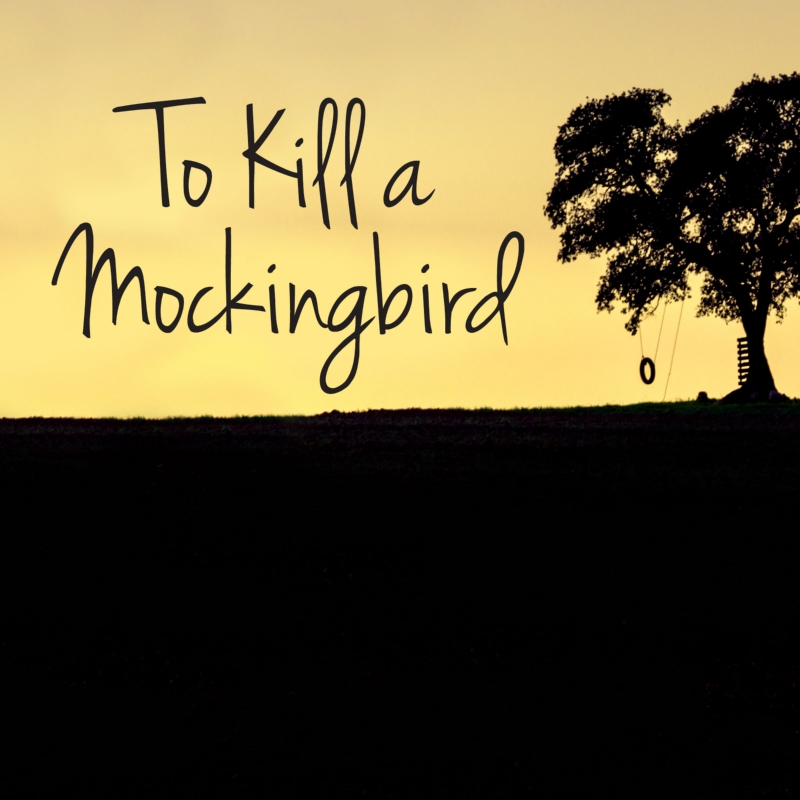 To Kill a Mockingbird (New Release)