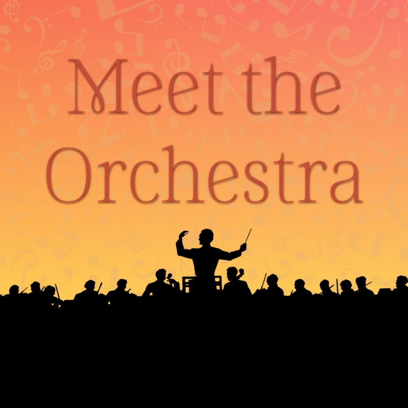 Meet The Orchestra (New Release)