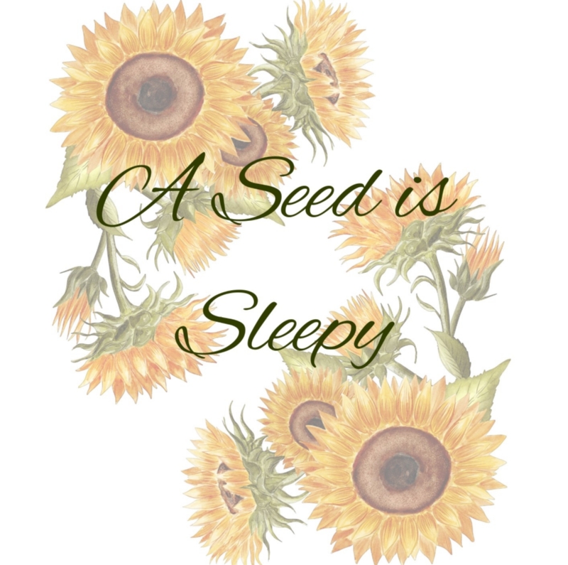A Seed is Sleepy