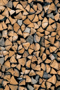 Firewood - Snowy Mountains - 2024