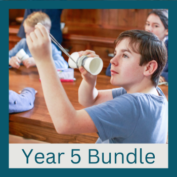 Year 5 Bundle