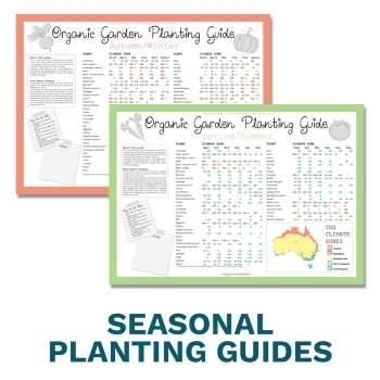 Seasonal Planting Guides