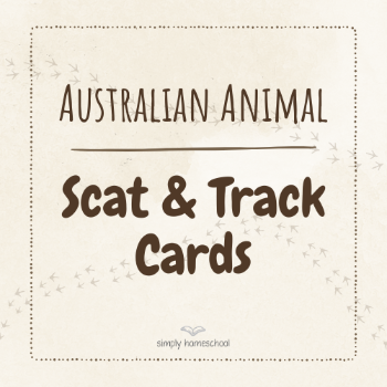 Scat and Track Cards - PDF Combo Pack