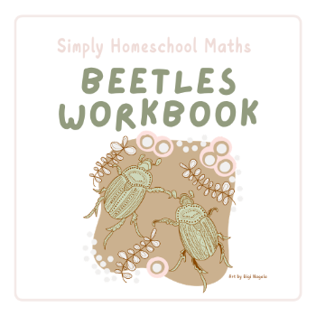 Kindy Maths Workbook Set 2 – Beetles PDF
