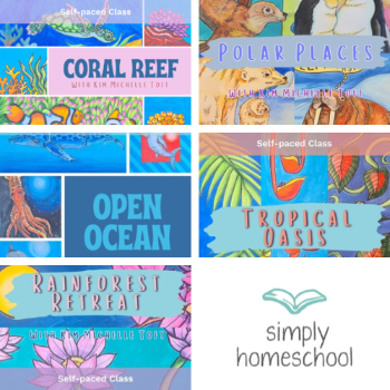 Self-Paced Class: Art with Kim Michelle Toft