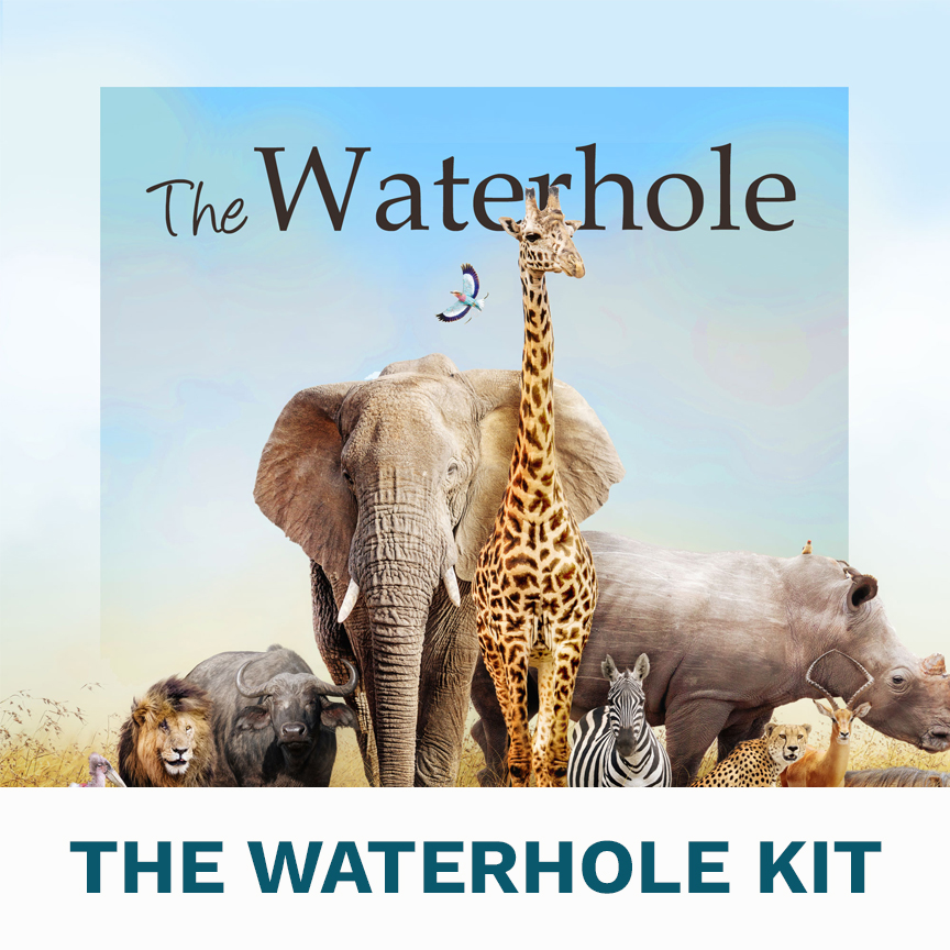 The Waterhole Kit